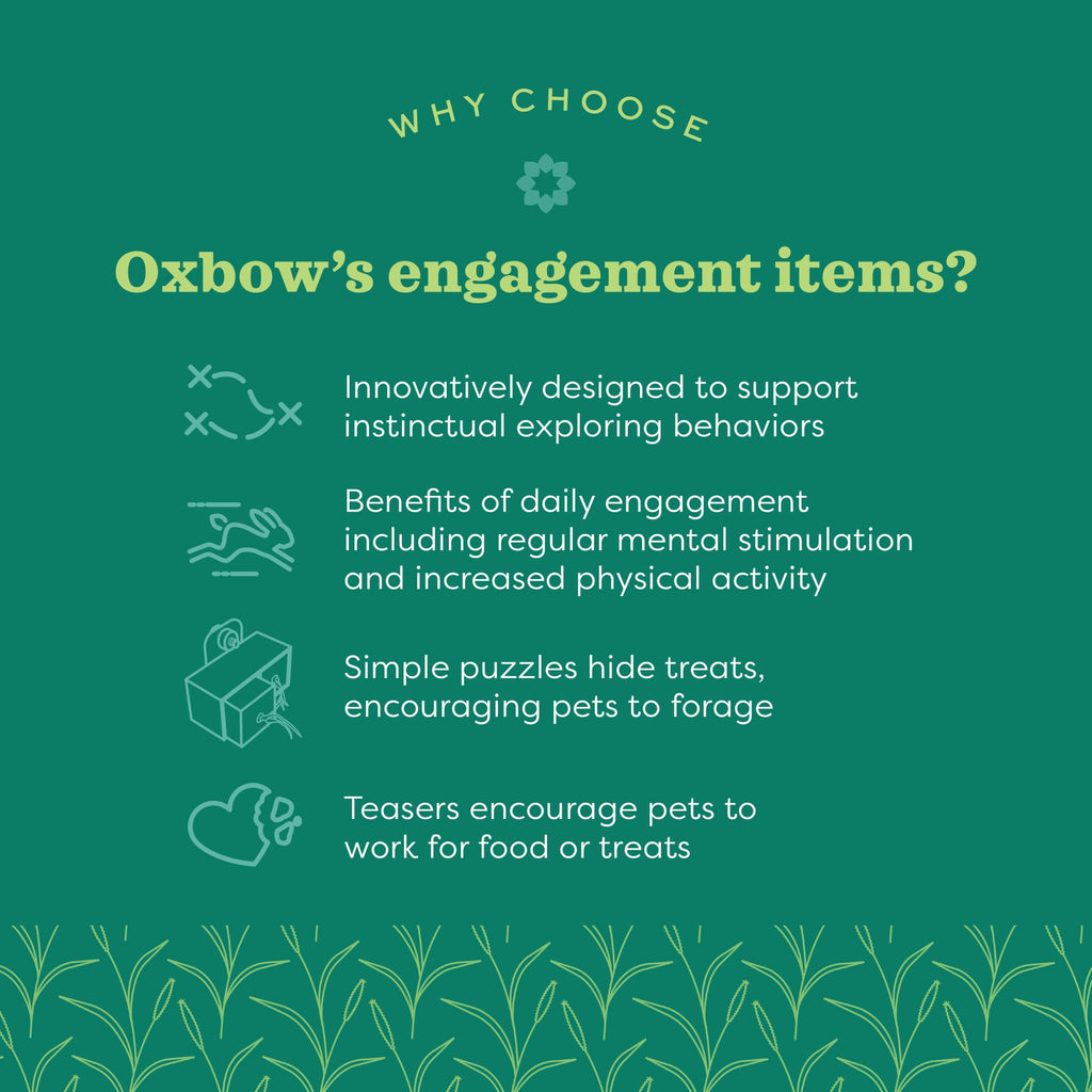 Small Animal Chew Toy product image 4