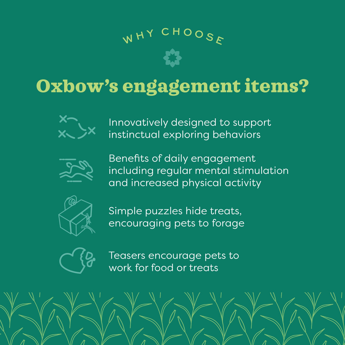 Small Animal Chew Toy product image 4