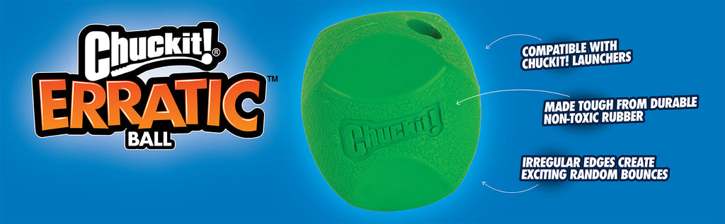 Erratic Dog Ball product image 5
