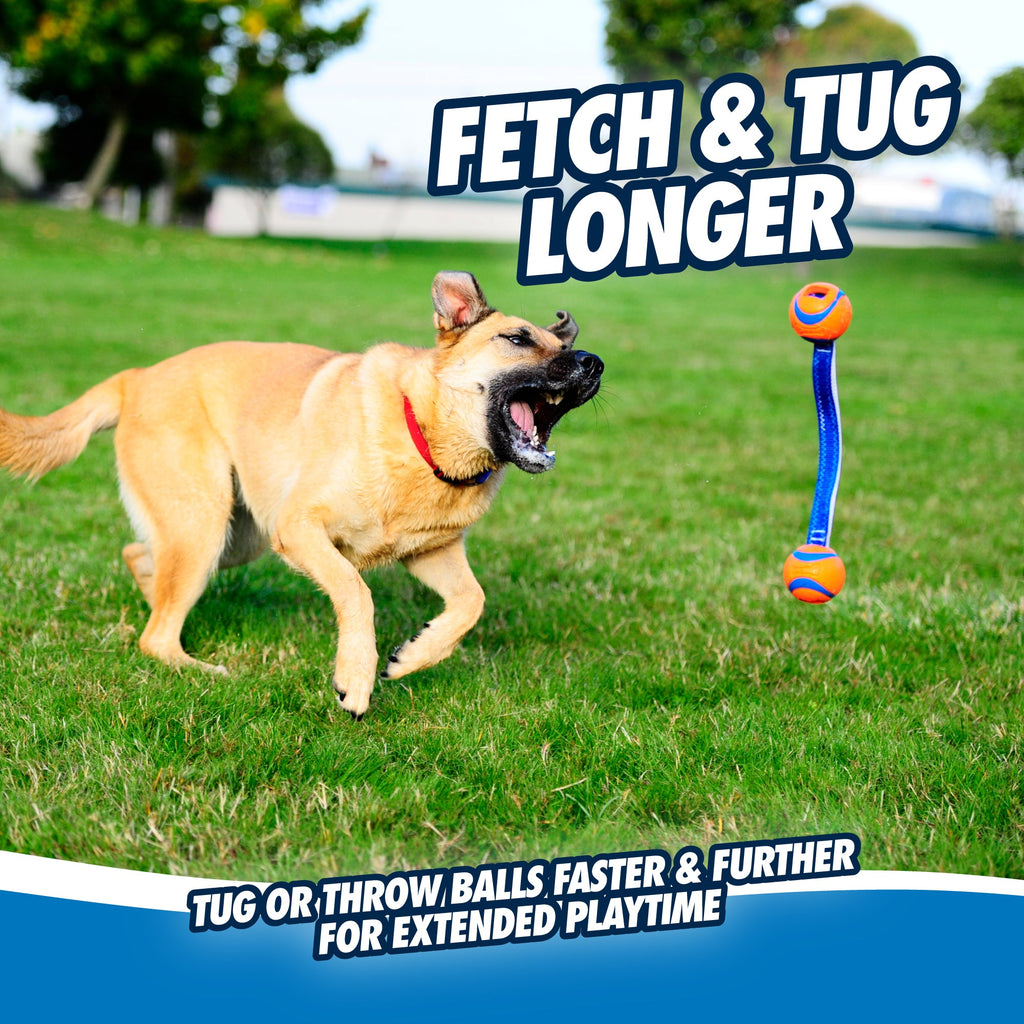 Dog Tug Toy product image 4