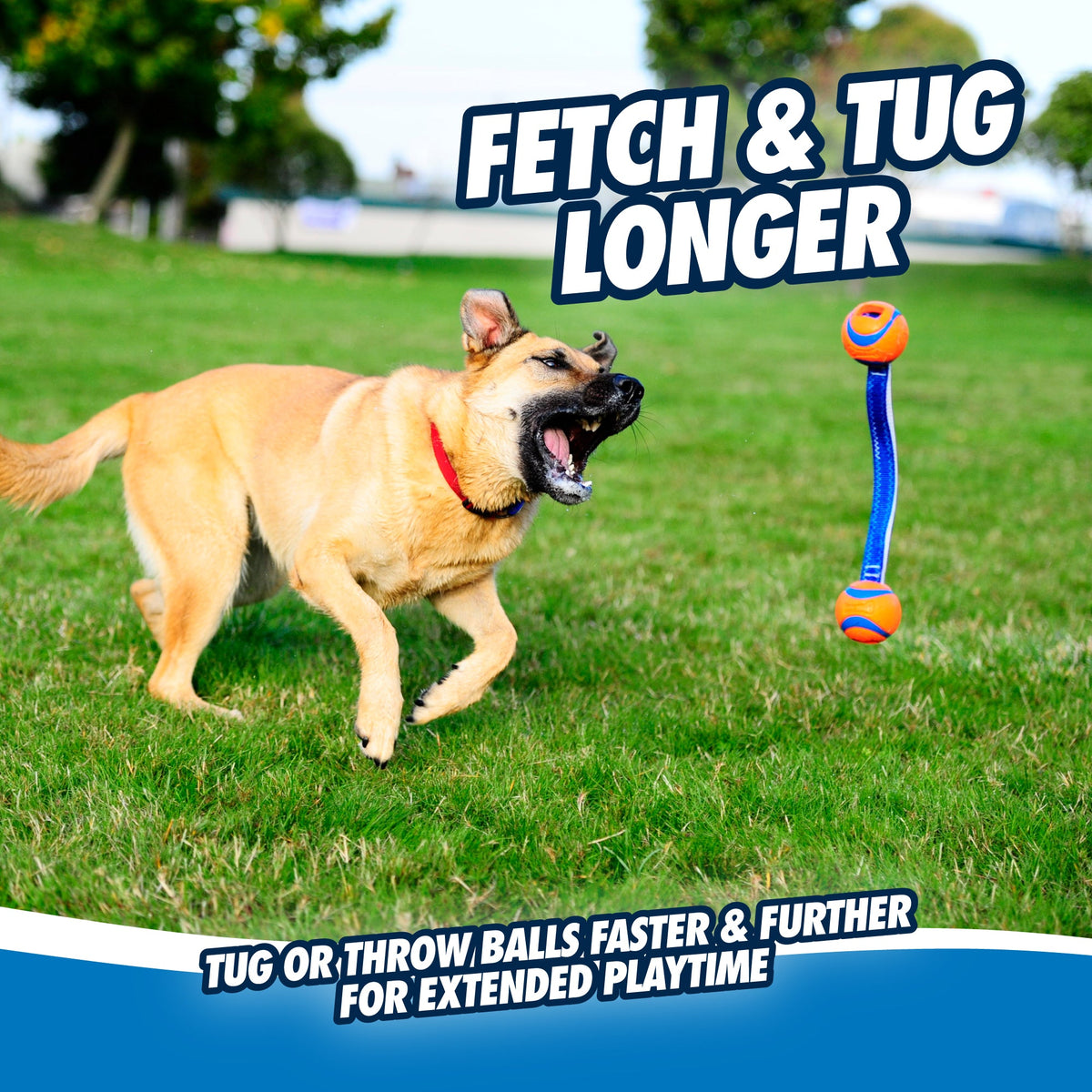 Dog Tug Toy product image 4