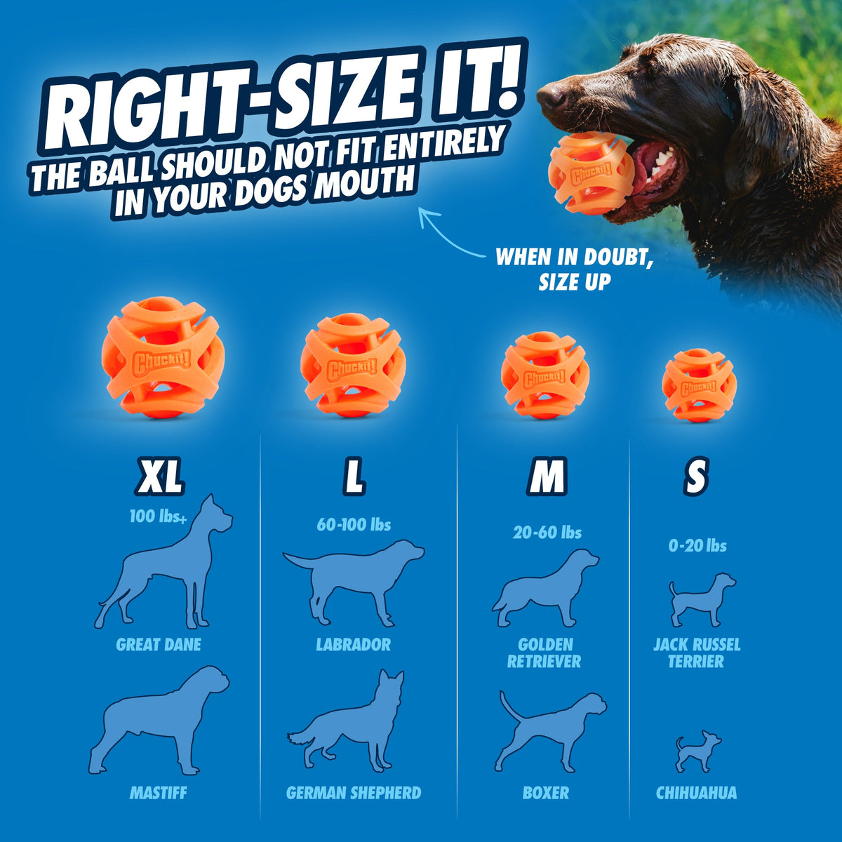 Dog Fetch Ball product image 2