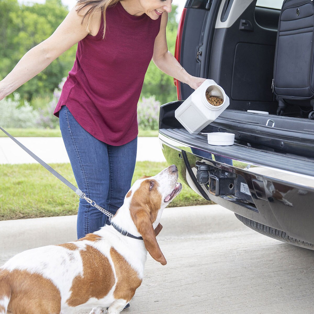 Pet Food Container product image 4