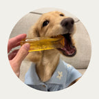 Collagen Dental Chew product image 5
