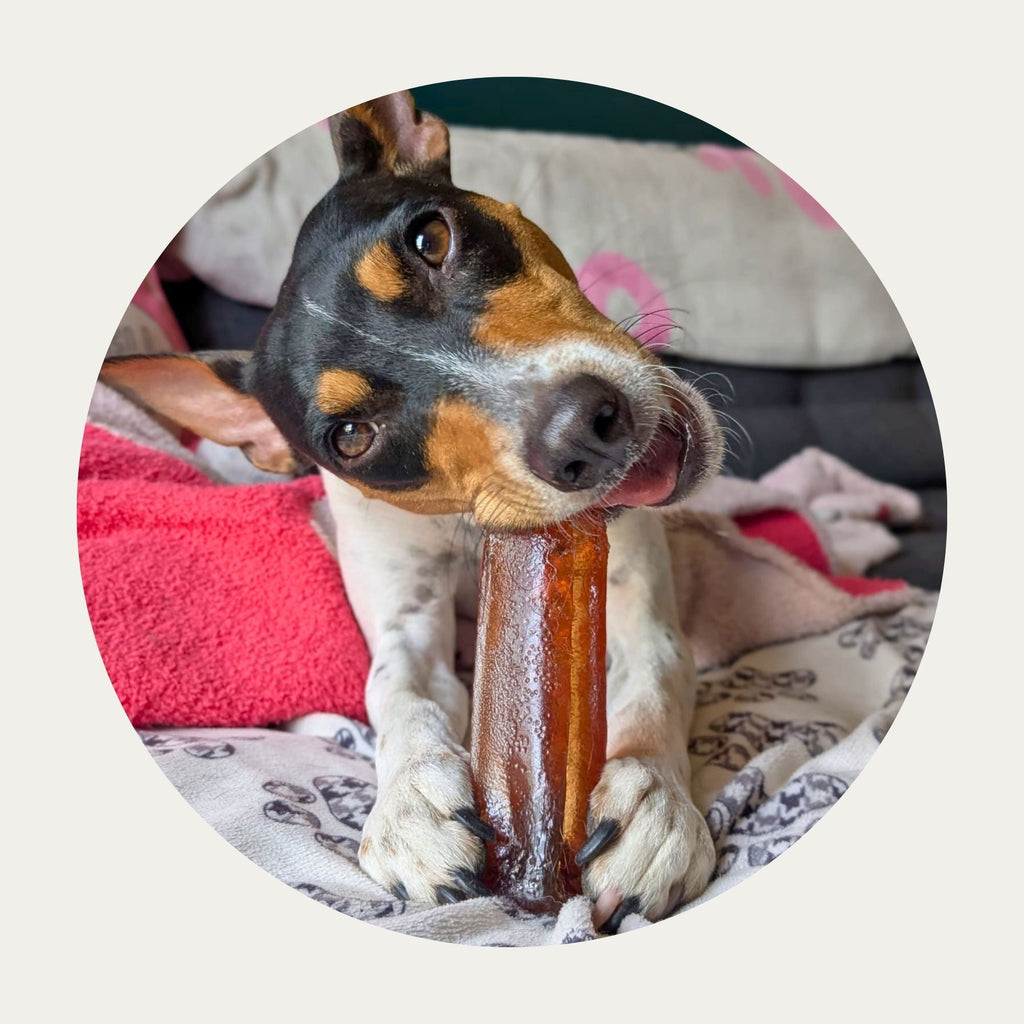 Collagen Dental Chew product image 7