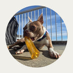 Collagen Dental Chew product image 13