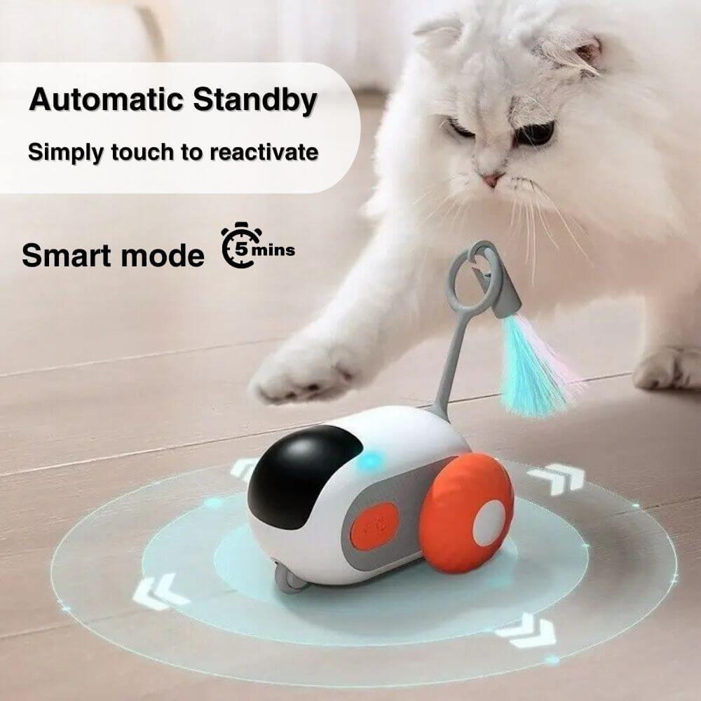 Interactive Cat Toy: Remote-Controlled Smart Play for Cats with Auto Obstacle Avoidance and USB Rechargeable Fun