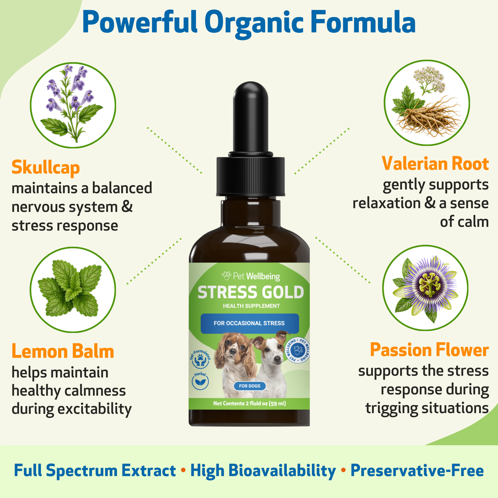 Dog calming supplement for occasional stress support during travel, loud noises, vet visits, and changes