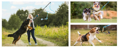 Dog Flirt Pole Telescopic - Extendable Flirt Stick with 3 Detachable Toys & Nylon Rope, Aluminum Alloy Dog Chase Toy for Small Medium Large Dogs, Agility Training Exercise & Interactive Play Tool
