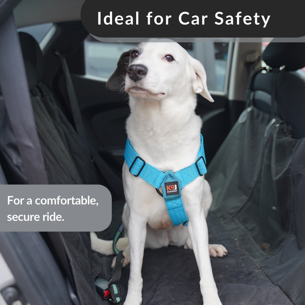 Working Dog Harness product image 6