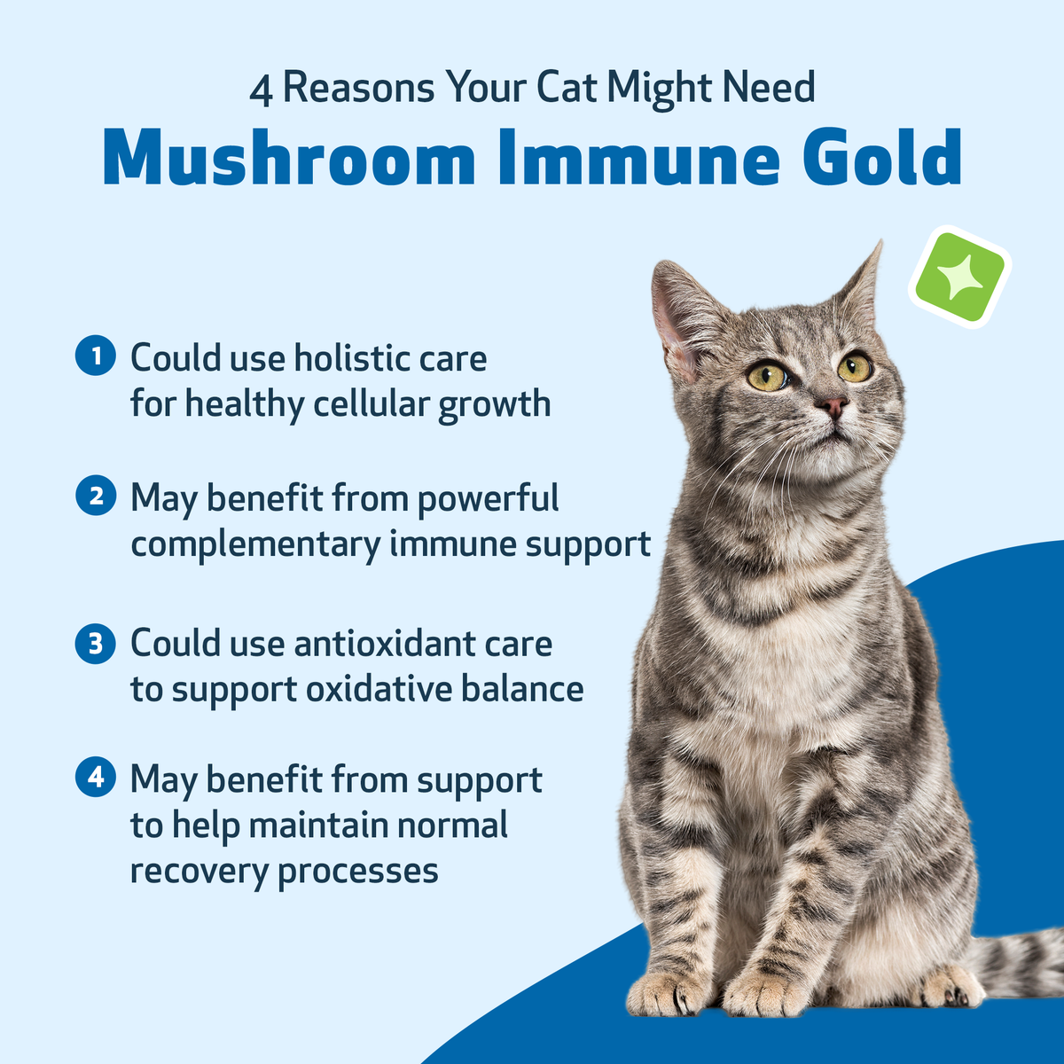 Cat Immune Supplement for Daily Immune and Antioxidant Support, Mushroom Blend for Healthy Vitality
