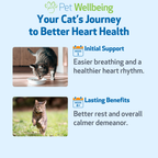 Cat Heart Supplement, Holistic Liquid Cardiovascular Support for Daily Feline Wellness: Bacon Flavor