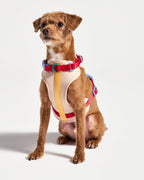 Cushioned No-Pull Dog Harness product image 7