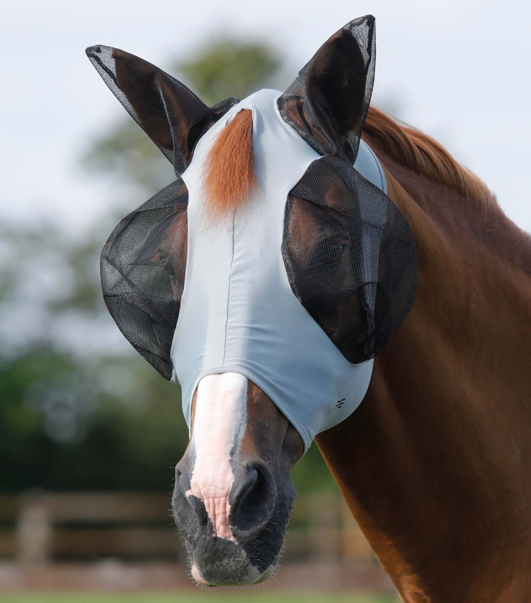 Stretch Lycra Horse Fly Mask Grey / S