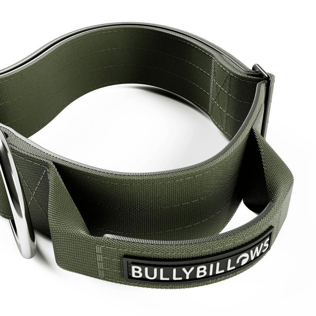 Wide Control-Handle Dog Collar product image 3