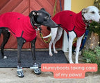 Greyhound and Whippet Dog Boots product image 10