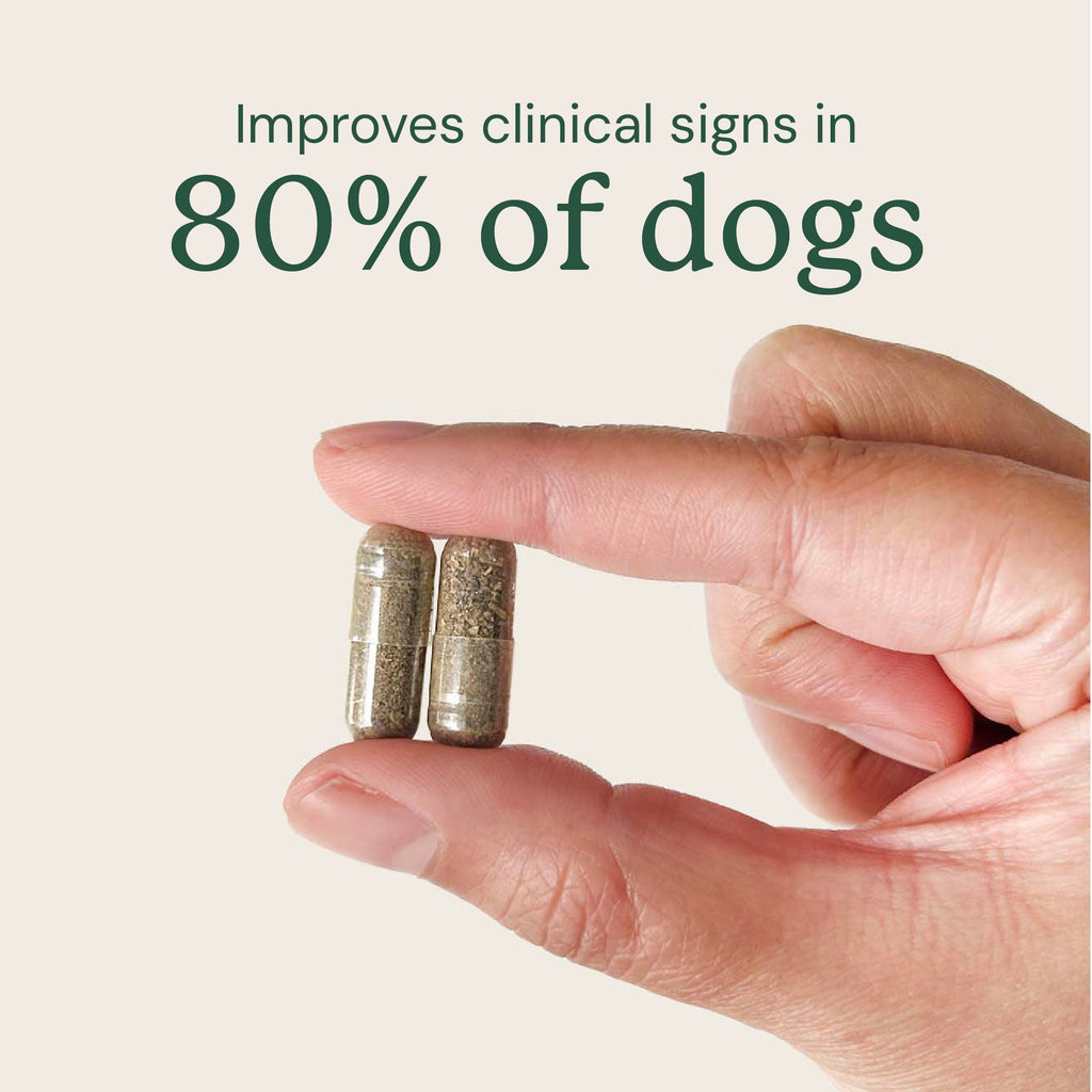 Dog Gut Microbiome Support Capsules product image 3