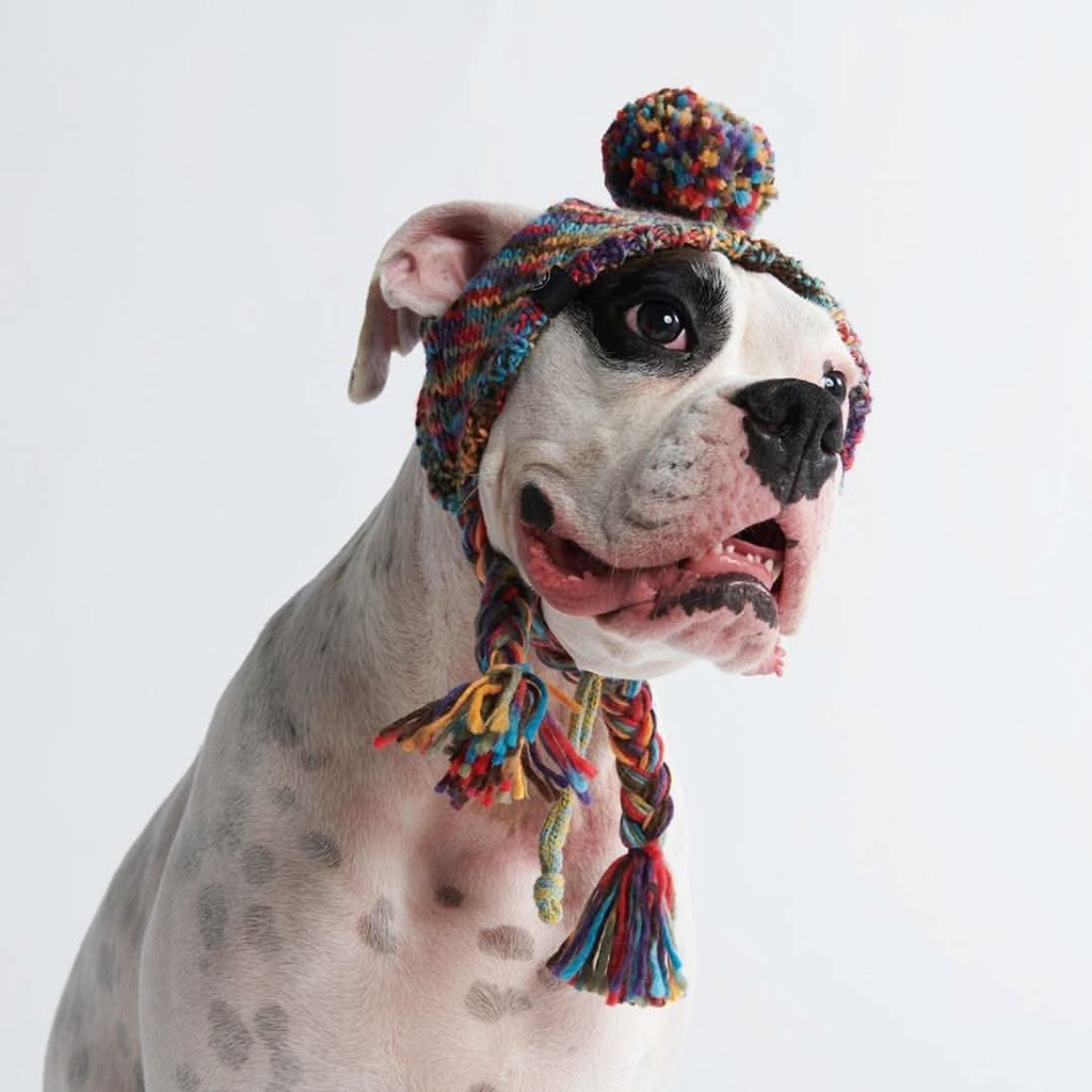 Knit Pom-Pom Dog Beanie product image 2