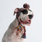 Knit Pom-Pom Dog Beanie product image 2