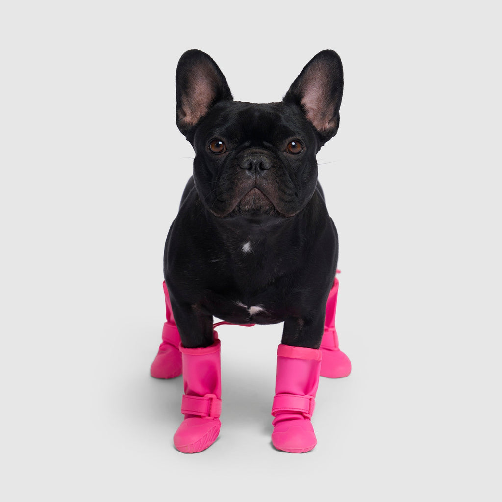 Waterproof Silicone Dog Rain Boots product image 9