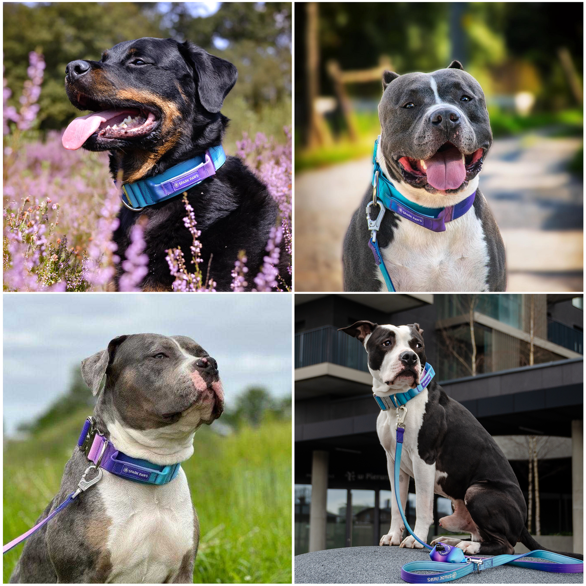 Control-Handle Dog Collar product image 6