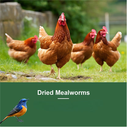 Dried Mealworms High Protein Animal Feed – Natural Insect Treats for Chickens Wild Birds Hens Ducks Turtles Fish Lizards Hamsters, Non-GMO Dried Larvae Pet Food Supplement, 0.6LB to 44LB