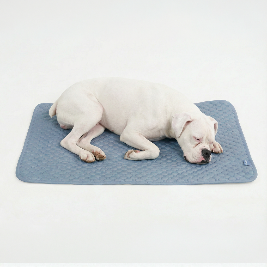Breathable Cooling Dog Mat product image 15
