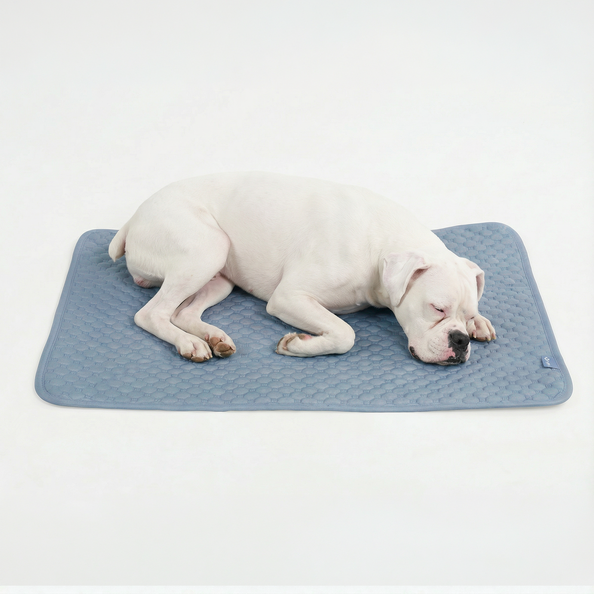 Breathable Cooling Dog Mat product image 15