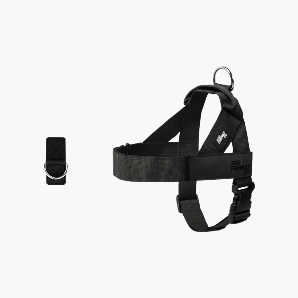 Adjustable Grab-Handle Dog Harness product image 1