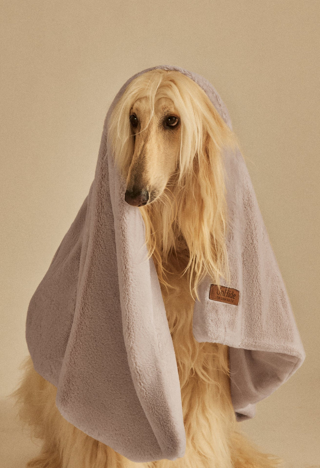 Water-Resistant Pet Blanket product image 23