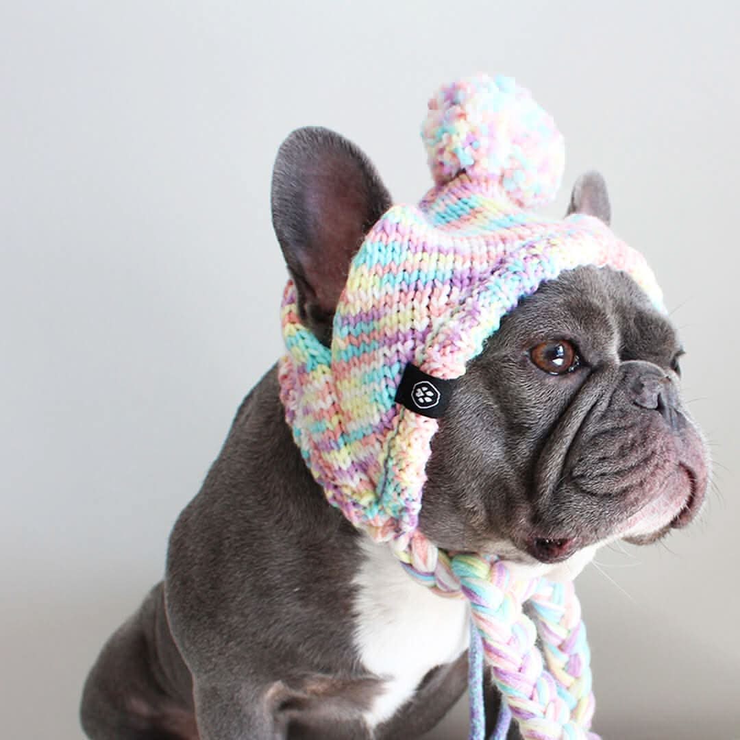 Knit Pom-Pom Dog Beanie product image 15