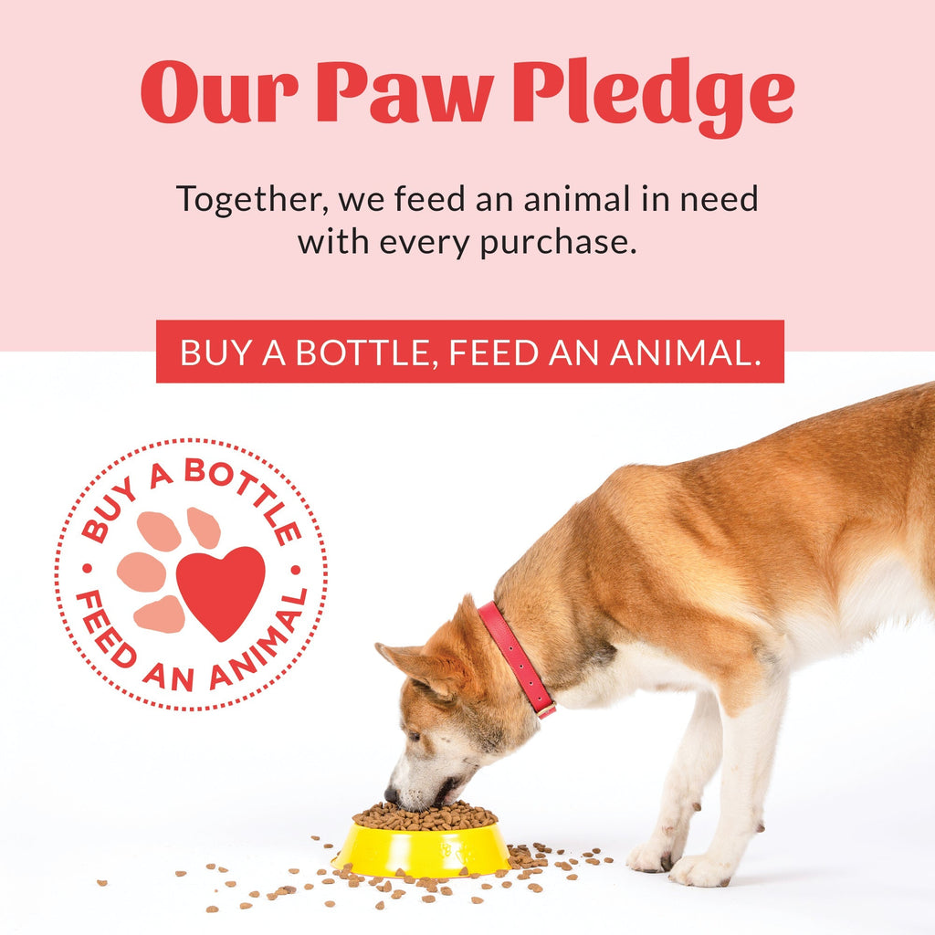 Probiotic Pet Shampoo and Conditioner product image 11