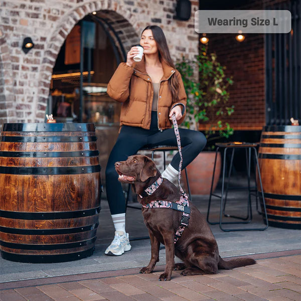 Adjustable Grab-Handle Dog Harness product image 54