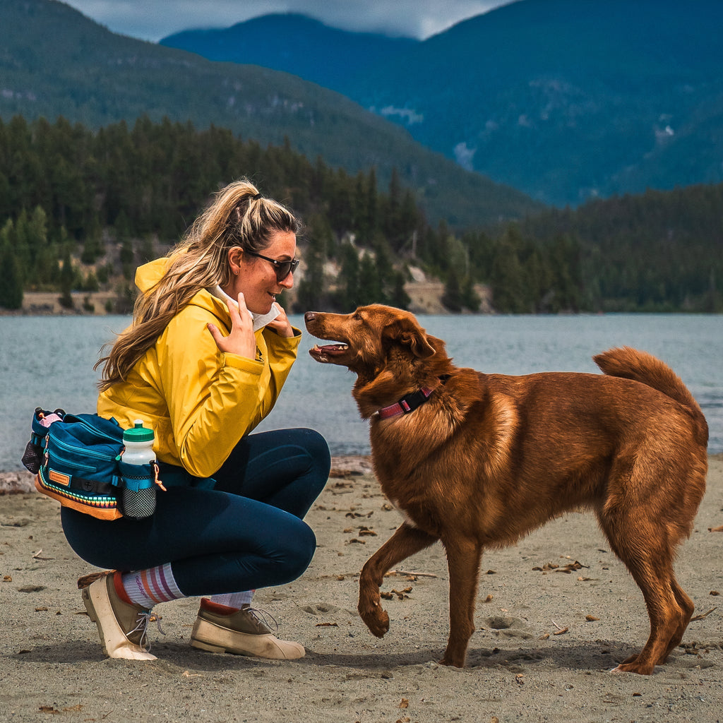 Dog Walking Hip Pack product image 11