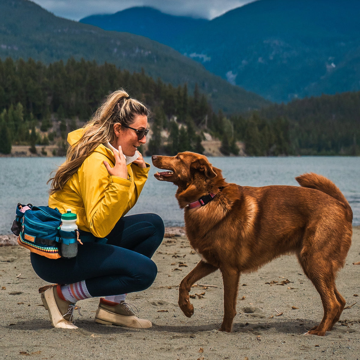 Dog Walking Hip Pack product image 11