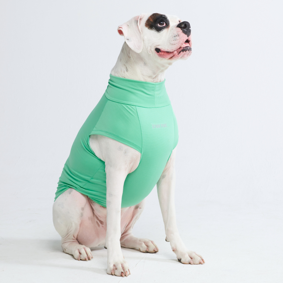UPF 30 Dog Sun Shirt product image 36