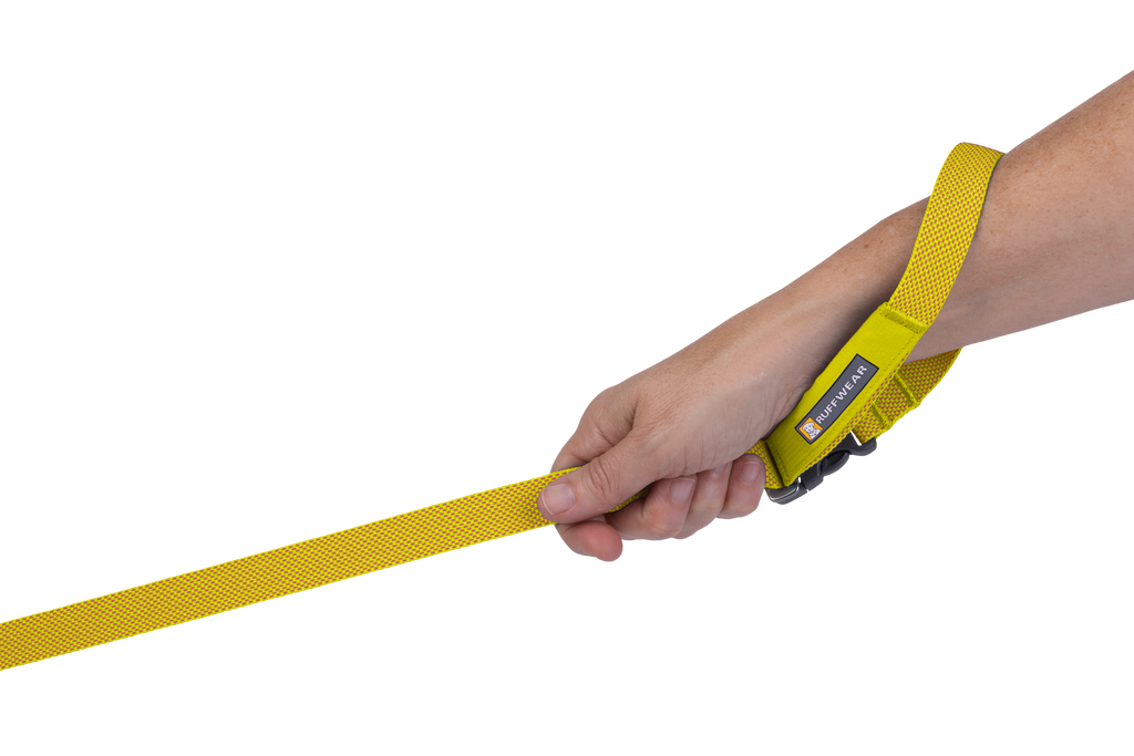 Hands-Free Dog Leash product image 23