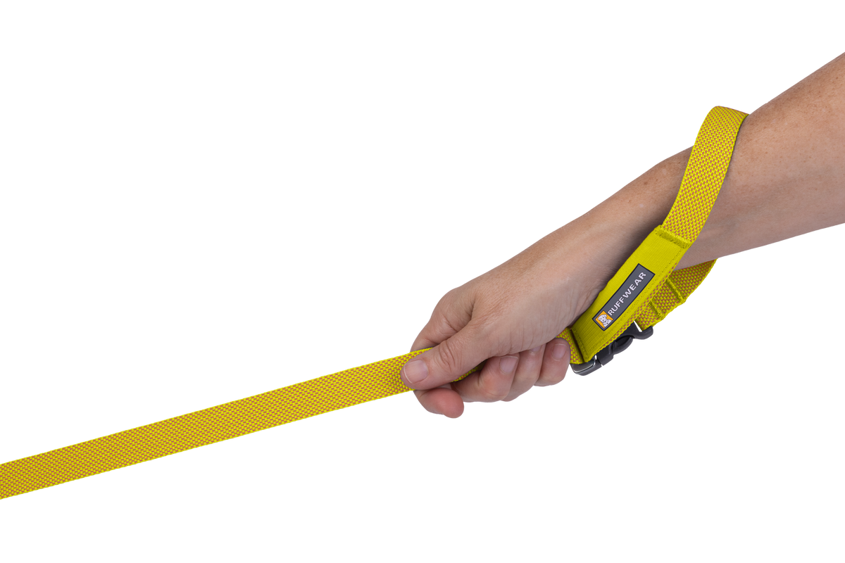 Hands-Free Dog Leash product image 23