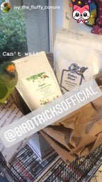 Parrot Birdie Bread Mix Bundle product image 28