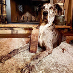 Moose Antler Paddle Dog Chew product image 5