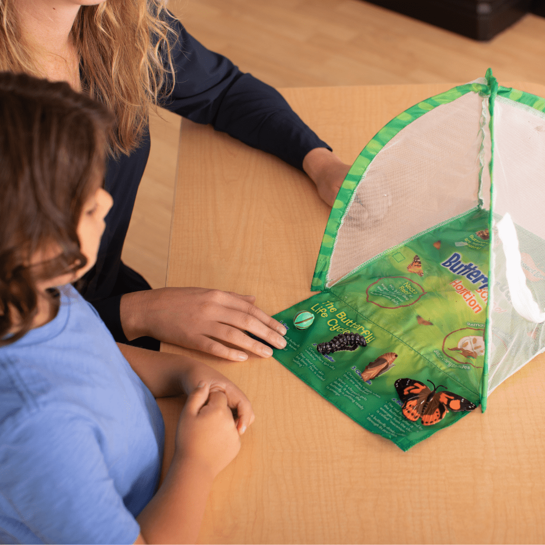 Butterfly Growing Kit product image 5