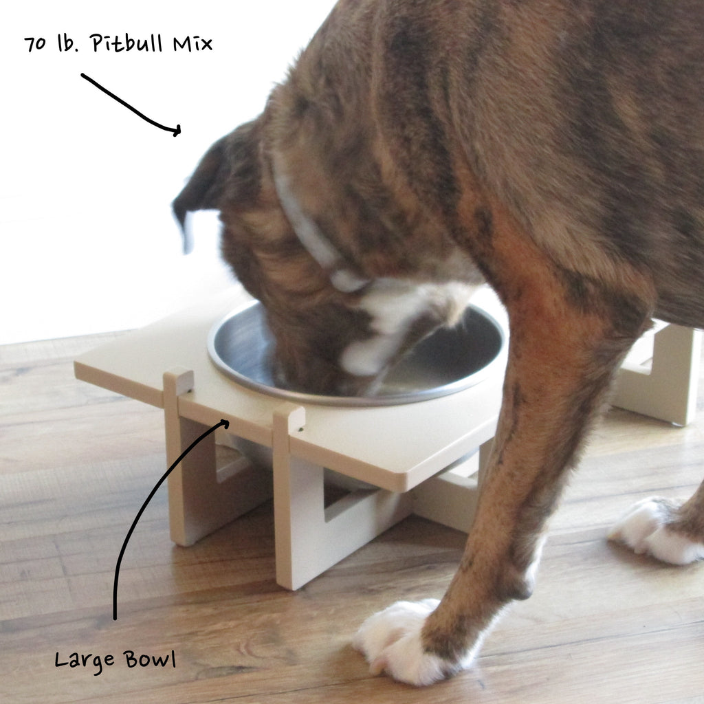 Stainless Steel Dog Bowl product image 14