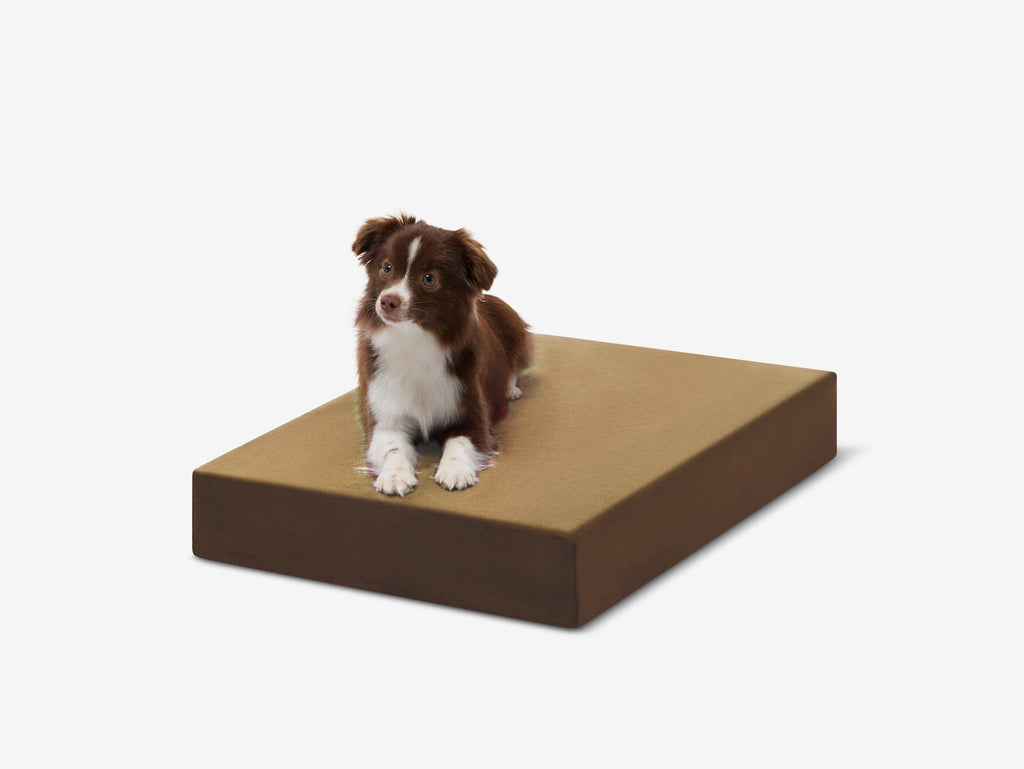 Orthopedic Dog Crate Bed product image 14