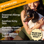 Dog Allergy Support Soft Chew Pack product image 2