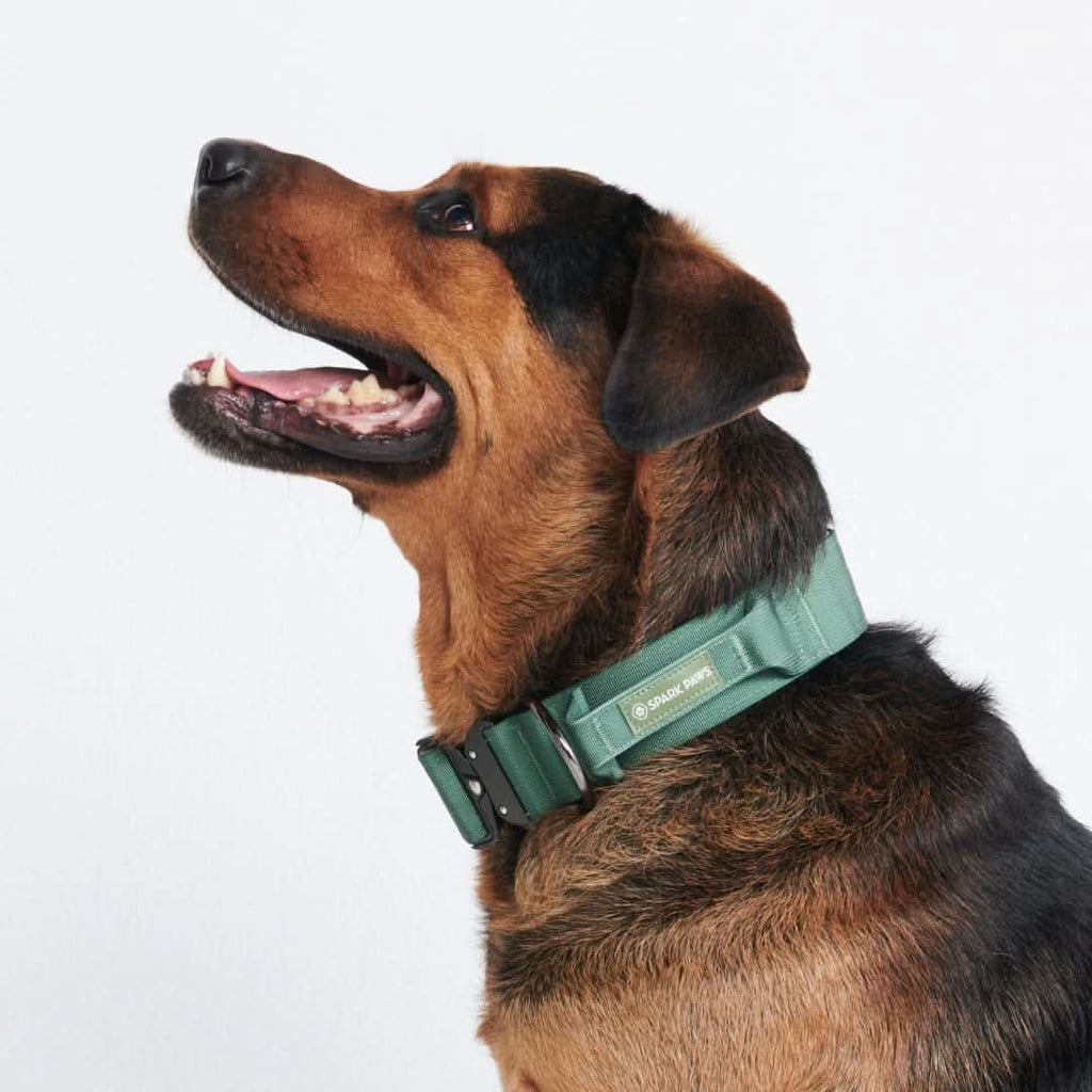 Control-Handle Dog Collar product image 3