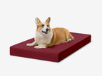 Orthopedic Dog Crate Bed product image 2