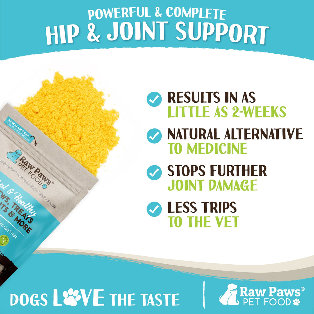 Dog Joint Supplement, Green-Lipped Mussel Blend for Joint, Digestion and Gut Health Support, 10 oz