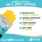 Dog Joint Supplement, Green-Lipped Mussel Blend for Joint, Digestion and Gut Health Support, 10 oz