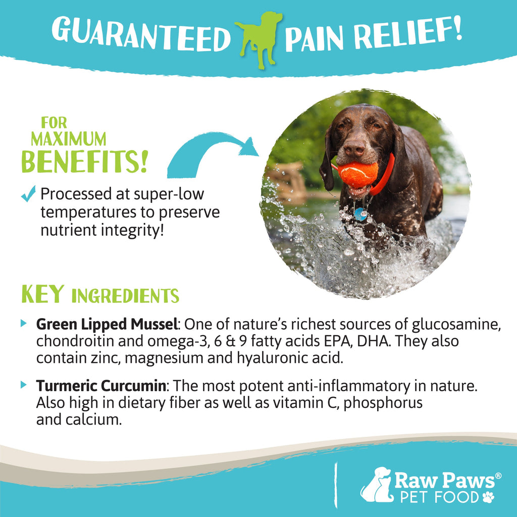 Dog Joint Supplement, Green-Lipped Mussel Blend for Joint, Digestion and Gut Health Support, 10 oz