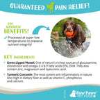 Dog Joint Supplement, Green-Lipped Mussel Blend for Joint, Digestion and Gut Health Support, 10 oz